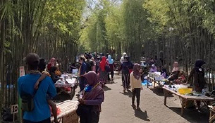 Aktivitas Pasar Jadul Ahad Legi Dihentikan Sementara, Disparpora Ngawi Beri Penjelasan Begini