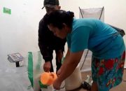 Harga Beras Medium dan Premium Turun, Masih Kalah Murah dengan SPHP, Berikut Daftar Harga Beras Terbaru