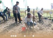 Dukung Program Ketahanan Pangan Nasional, Pj. Bupati Magetan Hadiri Penanaman Perdana Jagung Di Wilayah Kodim 0804/Magetan
