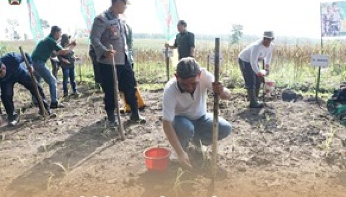 Dukung Program Ketahanan Pangan Nasional, Pj. Bupati Magetan Hadiri Penanaman Perdana Jagung Di Wilayah Kodim 0804/Magetan