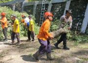 Pengendara di Himbau Hati-Hati, Ada Pemangkasan Pohon di Jalur Trenggalek-Ponorogo
