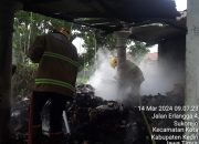 Si Jago Merah Amuk Gudang Rongsok di Ngasem Kediri