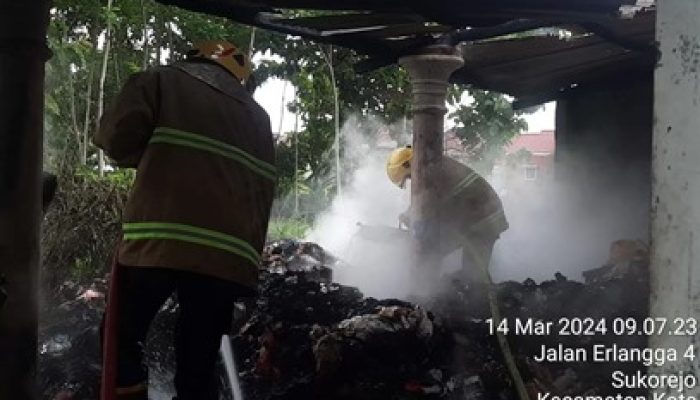 Si Jago Merah Amuk Gudang Rongsok di Ngasem Kediri