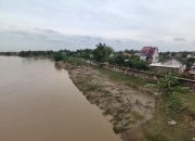Tanggul Tak Kunjung Tuntas, Tiap Tahun Petani Kanorejo Merugi Akibat Ratusan Lahannya Terendam Banjir
