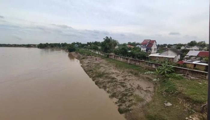 Tanggul Tak Kunjung Tuntas, Tiap Tahun Petani Kanorejo Merugi Akibat Ratusan Lahannya Terendam Banjir
