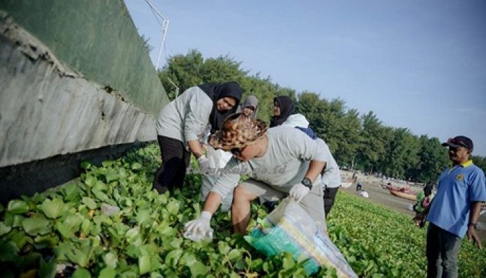 Peringati HPSN Tahun 2024, Pemerintah Gandeng Kelompok Peduli Sampah, Bersihkan Kawasan Pantai Boom