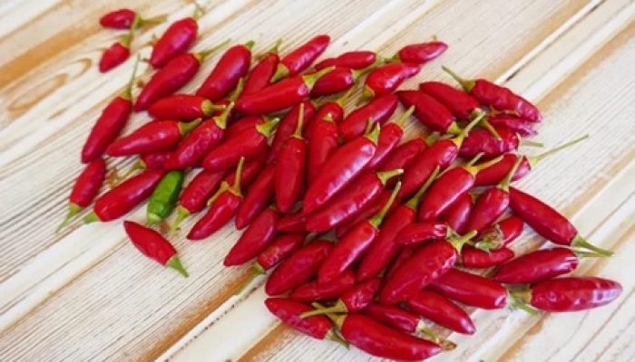 Harga Cabai Rawit Merah di Kabupaten Tulungagung Sabtu 2 Maret 2024