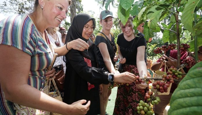 Angkat Kopi Rakyat, Banyuwangi Gelar Festival Kopi Kalibaru