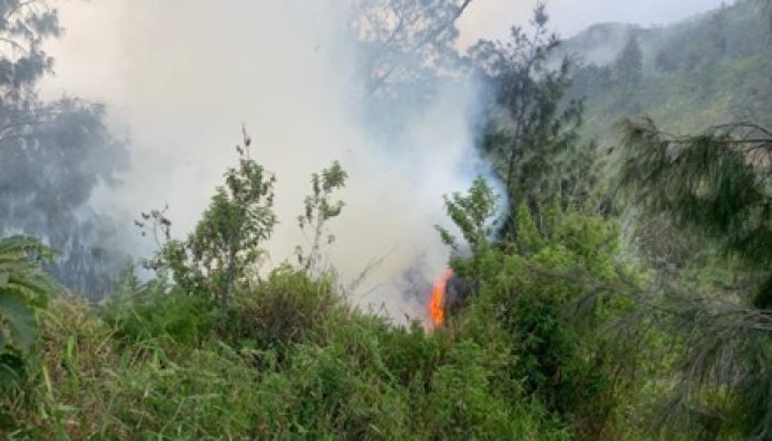 Kebakaran Di Bukit Kingkong. 3,5 Jam Api Baru Bisa Dipadamkan