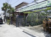Atasi Stunting, Kemiskinan Dan Pengangguran, Warga Bandung Kidul Manfaatkan Pekarangan Rumah Jadi Kebun Anggur