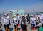 Penanaman 200.500 Mangrove : Upaya Signifikan Menuju Gresik Hijau Dan Berkelanjutan