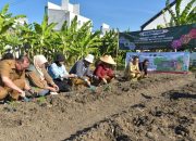Pemkot Surabaya Gelar Penanaman Cabai Dan Bawang Merah Serentak, Libatkan 60 Poktan Urban Farming