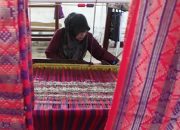 HLF MSP 2024 Peluang Inovatif Untuk Pendanaan UMKM Di Tengah Krisis Global