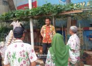 20 Bibit Tanaman Labu Madu Siap Dipanen Di RPTRA Krendang