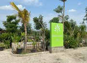 Green Cafe Dan Resto Banaran, Cafe Ternyaman, Tersejuk, Terbersih Dan Tentram Berada Di Tengah Kota Kediri