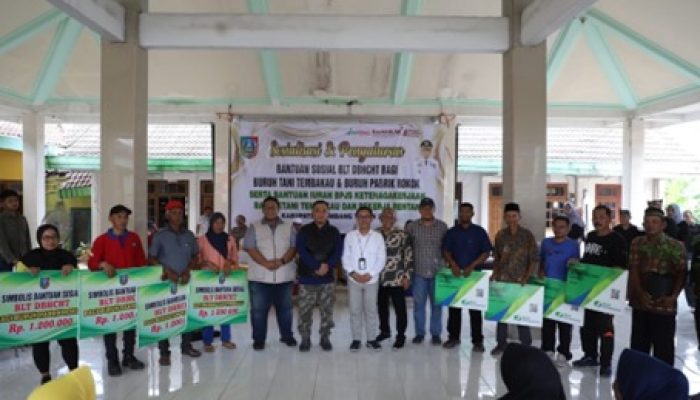 Jombang Salurkan BLT DBHCHT Dan Dorong Pertanian : Kesejahteraan Warga Semakin Meningkat