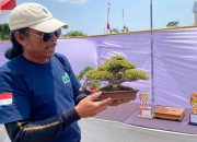 Pameran Bonsai Di Batang Ditawar Seharga Mobil Dan Rumah