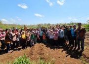 Dukung Sektor Pertanian Kapanewon Wonosari, Bupati Sunaryanta Resmikan Sumur Bor Bantuan CSR BDG