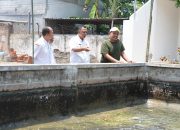 Intip Dua Produsen Lele, Pemkab Kediri Dorong Penguatan Nilai Jual