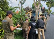 Bawaslu Badung dan Sat Pol PP Bersihkan APK Yang Masih Terpasang di Masa Tenang