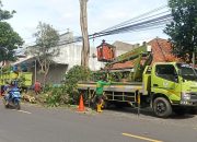 Pemkot Kediri Lakukan Pemangkasan Pohon Untuk Tingkatkan Keamanan Jalan Raya