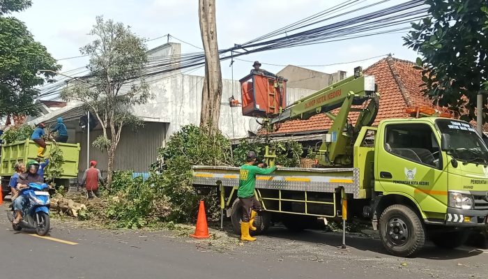 Pemkot Kediri Lakukan Pemangkasan Pohon Untuk Tingkatkan Keamanan Jalan Raya