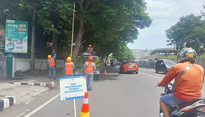 Bersihkan Jaringan, Tim Rabas ULP Ngadiluwih Fokus di Area Alun-Alun Kota Kediri