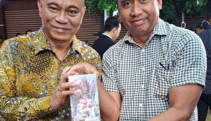 Bali Terkenal dengan Arak Lokal Bali Sebagai Produsen Kreatif for The World