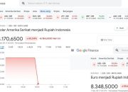 Heboh di Dunia Maya, Dollar Anjlok atau Google yang Error?