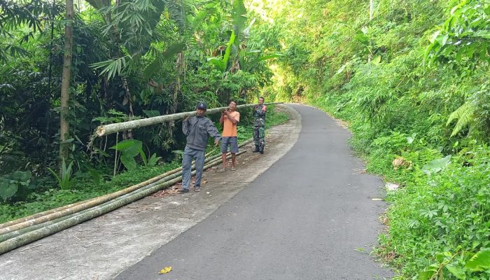 Babinsa Koramil 1617-02/Mendoyo: Bersama Warga Bangun Jembatan Bambu