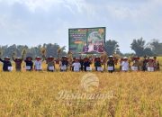 Mojokerto Catat Peningkatan Produksi Padi, Bupati Al Barra Optimis Capai Target Swasembada Pangan