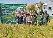 Pemkot Surabaya dan Kodim Ikut Acara Panen Raya (APR) Padi Serentak Nasional