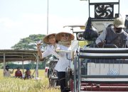 Pemerintah Kabupaten Kediri Ikuti Acara Panen Raya (APR) Padi Serentak Nasional