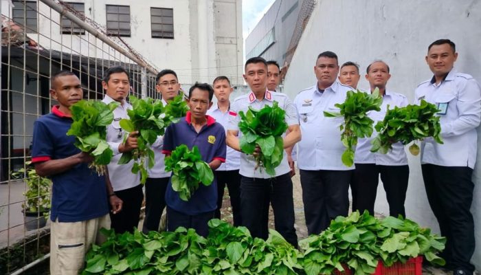 Wujudkan Program Akselerasi Menteri, Lapas Jember Panen Sawi