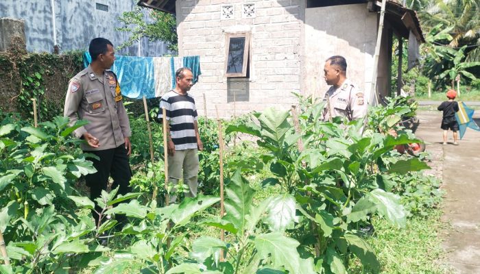 Kasat Binmas Polres Jembrana Sambangi Petani Rumahan, Dukung Ketahanan Pangan Melalui Edukasi Pekarangan Pangan Bergizi
