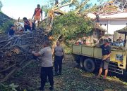 Pawas Pimpin Anggota Bantu Warga Evakuasi Pohon Tumbang