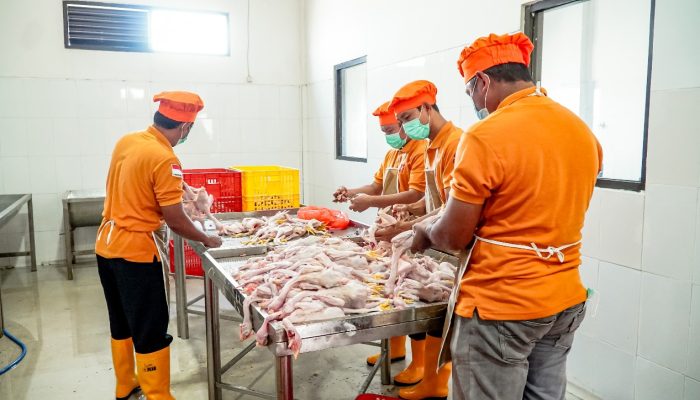 Pemkab Lamongan Jalin Kerja Sama Pemanfaatan Rumah Potong Hewan Unggas