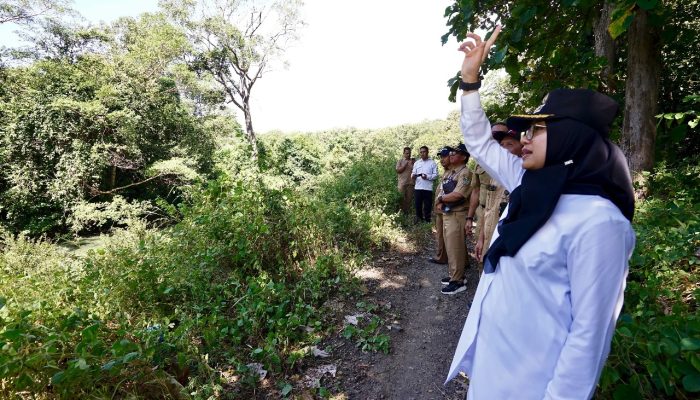 Bupati Ipuk Rencanakan Ajang Sport Tourism Susuri Hutan Jalur Waduk Bajulmati