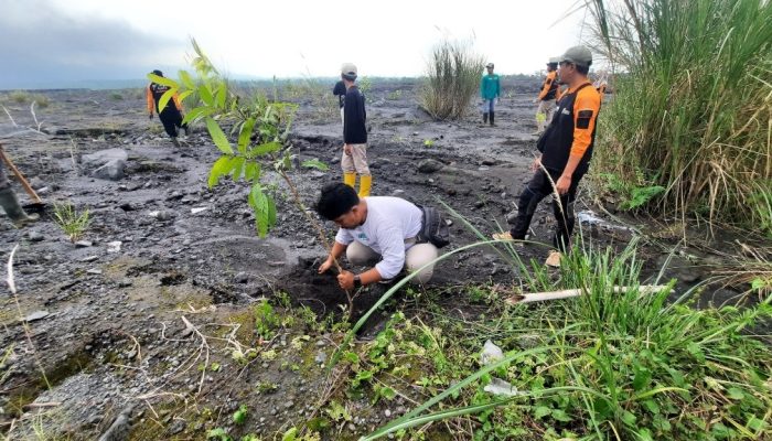 Upaya Terpadu Pulihkan Ekosistem Pasca Erupsi Gunung Semeru di Lumajang