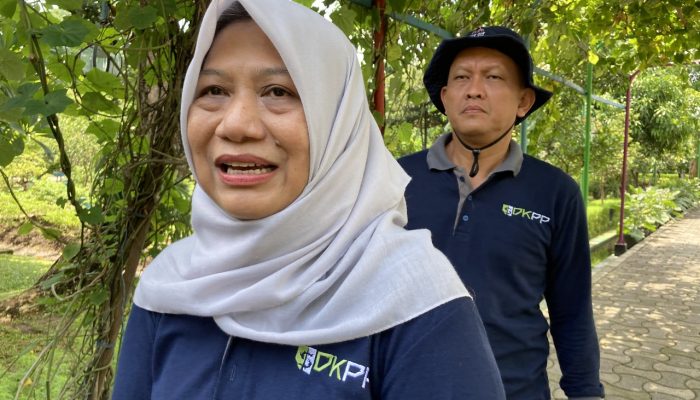 Jelang Iduladha 2025, DKPP Kota Surabaya Awasi Lalu Lintas dan Penjualan Hewan Kurban