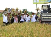 Panen Padi dan Cabai Organik, Wali Kota Probolinggo: Pertanian Organik Menambah Nilai Jual