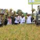 Panen Padi dan Cabai Organik, Wali Kota Probolinggo: Pertanian Organik Menambah Nilai Jual