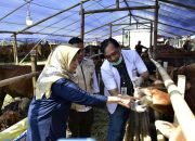 DKPP Surabaya Periksa Ulang Kesehatan Hewan Kurban