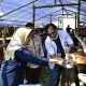 DKPP Surabaya Periksa Ulang Kesehatan Hewan Kurban