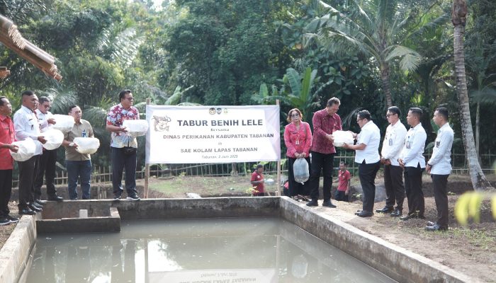Bersinergi Dengan Dinas Perikanan, Lapas Tabanan Tabur Ribuan Bibit Ikan Mujair-Lele Pemantapan Program Han-Pangan