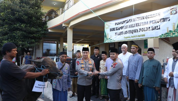 Kapolda dan Wakapolda Bali Serahkan 2 Ekor Sapi Kurban di Masjid At-Taqwa