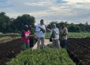 Jelajah UMKM dan Pondok Pesantren 2025: Pesona Bawang Merah Watuwungkuk: Inovasi Hijau dan Digitalisasi di Klaster Harapan Jaya