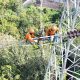 PLN UIT JBM Dukung Proyek Strategis Nasional Tol Probolinggo–Banyuwangi