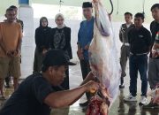 Mbak Wali Tinjau RPH Kelurahan Pojok, Pastikan Hewan Kurban Disembelih Sesuai Prosedur dan Aman Dikonsumsi