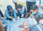 Disnakkeswan Kabupaten Pasuruan Kerahkan Ratusan Petugas Pemeriksaan Hewan Qurban
